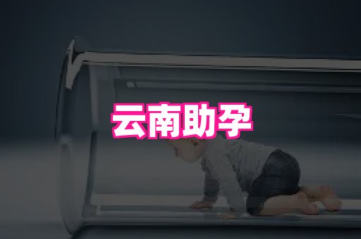 821孕网 1