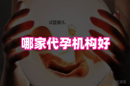 821孕网 2