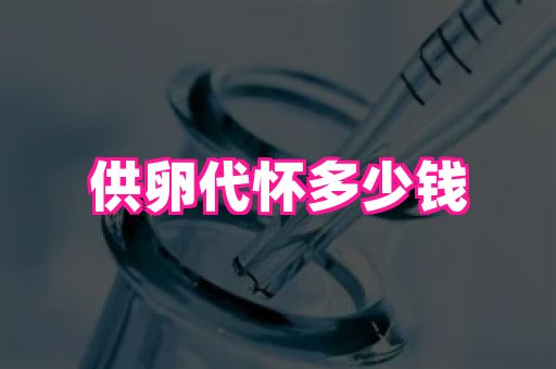 821孕网 3